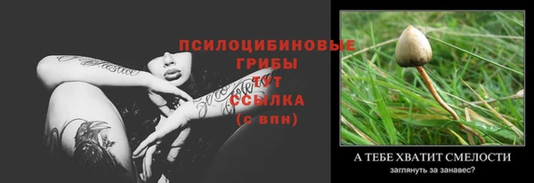 таблы Бикин