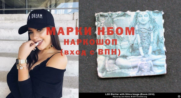 таблы Бикин