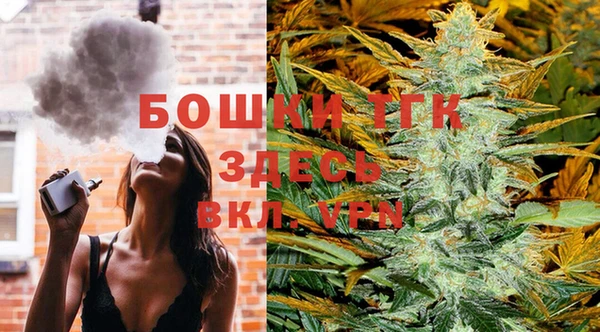 таблы Бикин